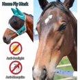 thumbnail image 3 of Horse Fly Mask Uv Protection Horse Fly Mask With Ears Net/forelock Hole/reflective Trim Stretchy Fly Mask For Horse Breathable Fine Mesh/eye Dart/hook, 3 of 5