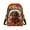 Dachshund Autumn Leaves Print, variant on Uourmeti Small Crossbody Wallet with Sunflower Books Floral Print, Polyester Zipper Closure Sling Bag for Shopping and Daily Travel