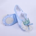 thumbnail image 3 of jianru Ballet Shoes for Girls Elastic Straps Non Slip Soft Sole Satin Professional Princess Dance Shoes for Toddler Kids, 3 of 9