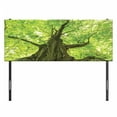 thumbnail image 3 of Forest Headboard, Old Big Majestic Tree Environment Countryside Eco Solidarity National Park Scenery, Upholstered Decorative Metal Bed Headboard with Memory Foam, Full Size, Green Brown, by Ambesonne, 3 of 4