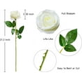 thumbnail image 2 of Morttic 12pcs Fake Roses Artificial Silk Flowers Faux Rose Flower Long Stems Bouquet for Arrangement Wedding Centerpiece Party Home Kitchen Decor(Ivory-White Long Stem), 2 of 8