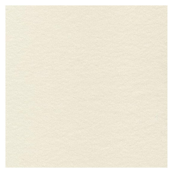 108" Wide 100% Cotton Flannel BTY (Natural)