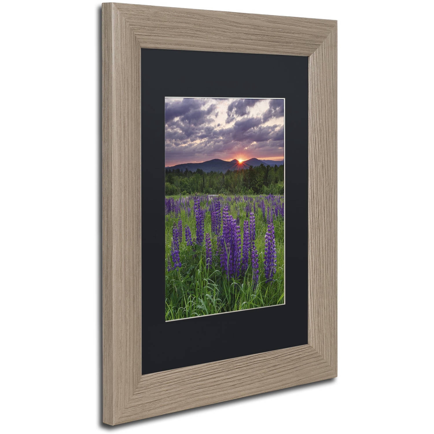 Trademark Fine Art "Moody Sunrise" Canvas Art by Michael Blanchette Photography Black Matte, Birch Frame