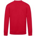 thumbnail image 3 of Men's Levelwear Red Chicago Blackhawks Zane Ice Wall Pullover Sweatshirt, 3 of 3