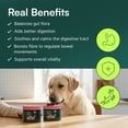 thumbnail image 4 of Wuffes Daily Probiotic for Dogs - Supports Digestive Health, Gut Balance, and Immune System - with Prebiotics, Marshmallow Root, and Pumpkin Powder - 60 Soft Chews, 4 of 7