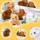 thumbnail image 4 of Perritos de peluche Liliful Pupdogs, 50 unidades, para regalo de fiesta infantil, 4 of 6