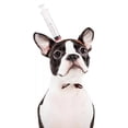 thumbnail image 1 of Tocado de Halloween para mascotas, sombrero divertido, tocado para perros y gatos, accesorios para trucos MFZFUKR BST3000288-4, 1 of 5