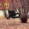 thumbnail image 2 of Compamia Romeo Resin Patio Dining Arm Chair in Black, 2 of 3