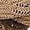 Brown, variant on Women's Crochet Hollow Out Sweater 3/4 Sleeve Off-Shoulder Knit Top Boho Style Summer Pullover Blouse Sheer Beach Cover Up Shirt