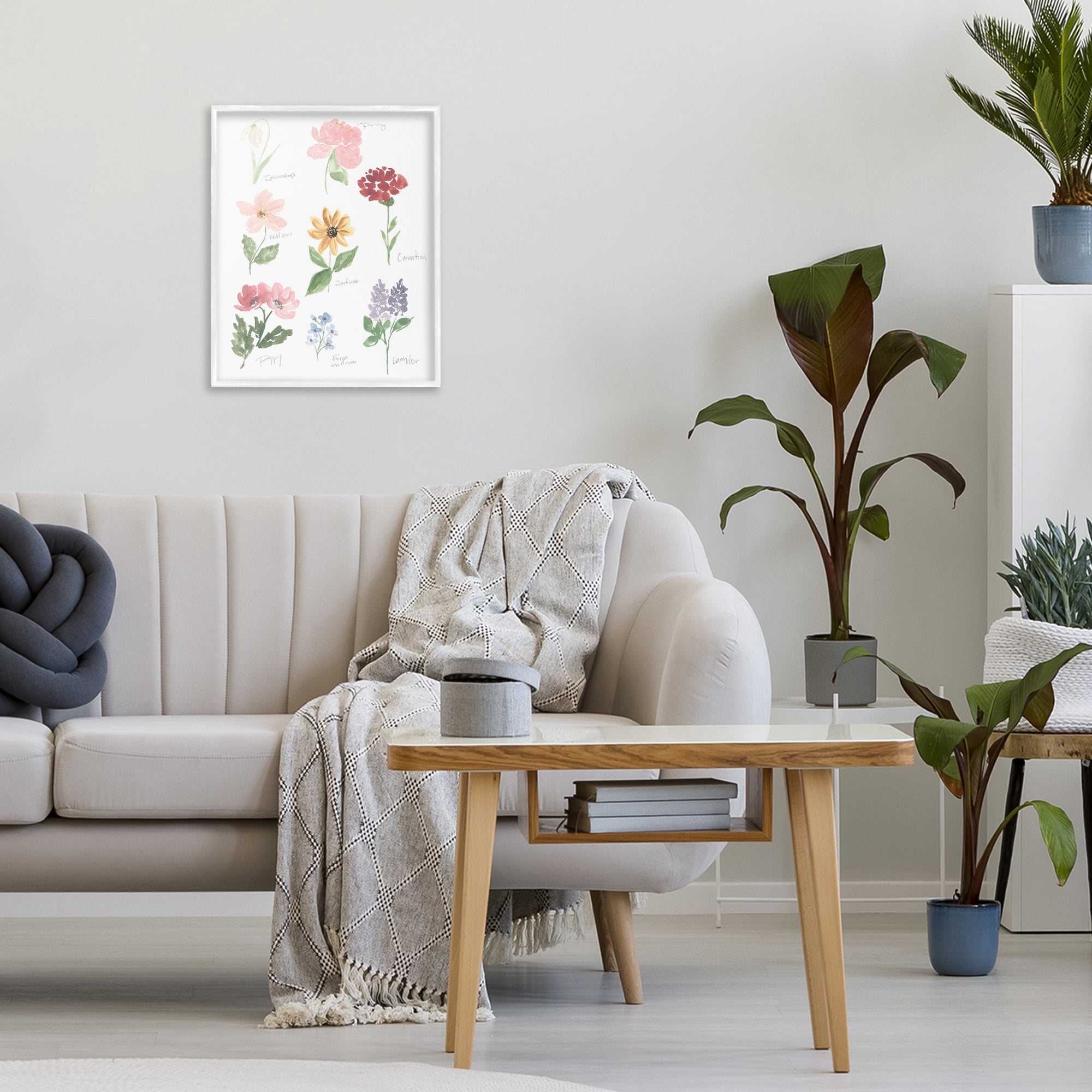 Stupell Industries Labeled Flower Varieties White Framed Giclee Art, design by Lucille Price
