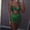 Green, variant on Tennis Skirts for Women Summer Skirt Dancer Tassel Skirt Sequin Belly Women Club Skirt Wrap Skirt Black One Size