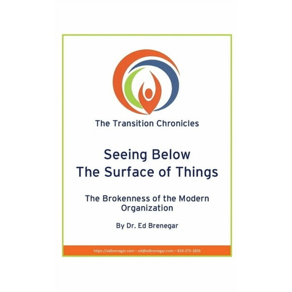 The Transition Chronicles: Seeing Below The Surface of Things : The Brokenness of the Modern Organization (Series #3) (Paperback)