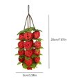 Beautiful view of Parrot Midi Cage With Contains Toys