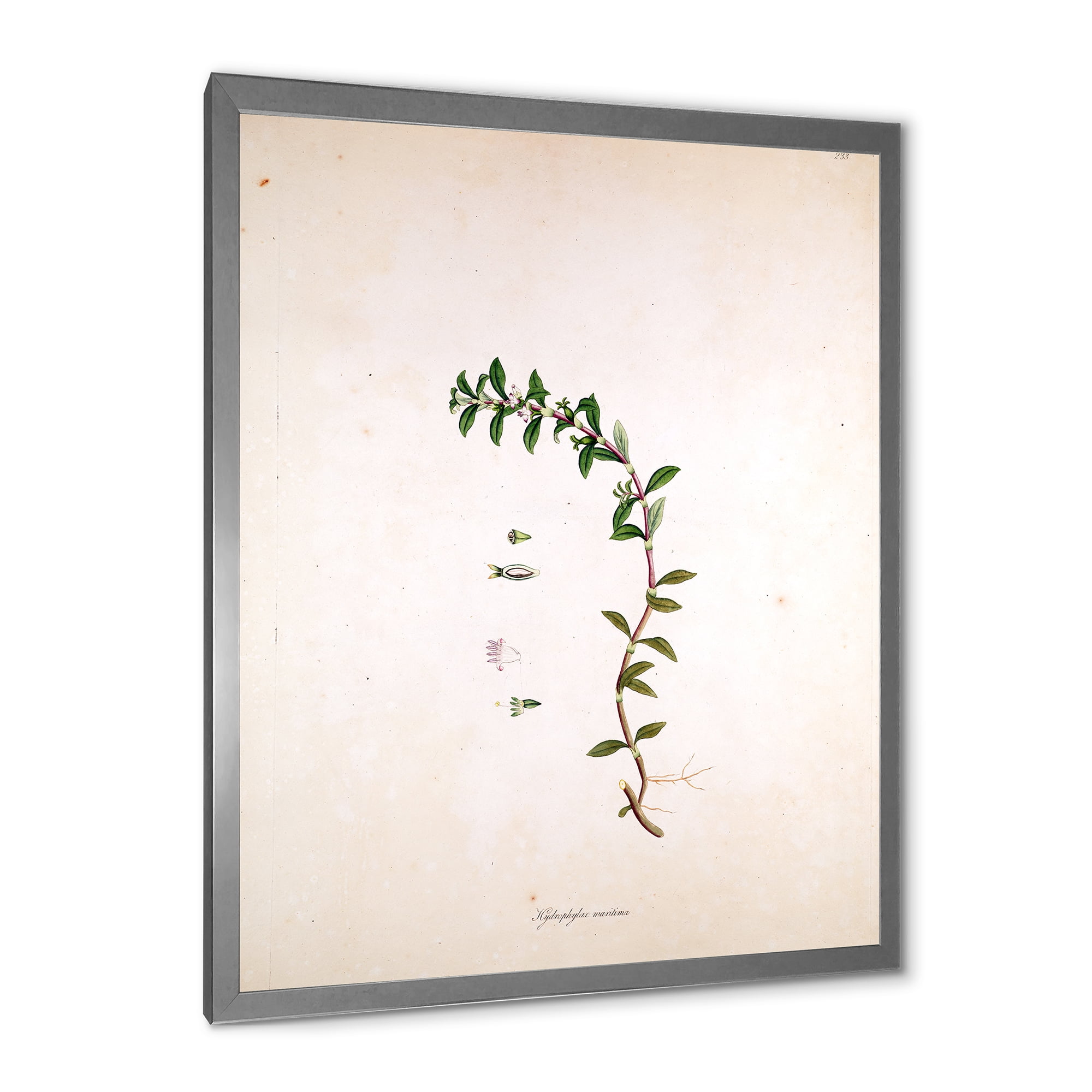Designart 'Ancient London Plants II' Farmhouse Framed Art Print