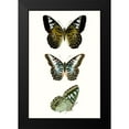 thumbnail image 2 of Vision Studio 17x24 Black Modern Framed Museum Art Print Titled - Butterfly Specimen VI, 2 of 5