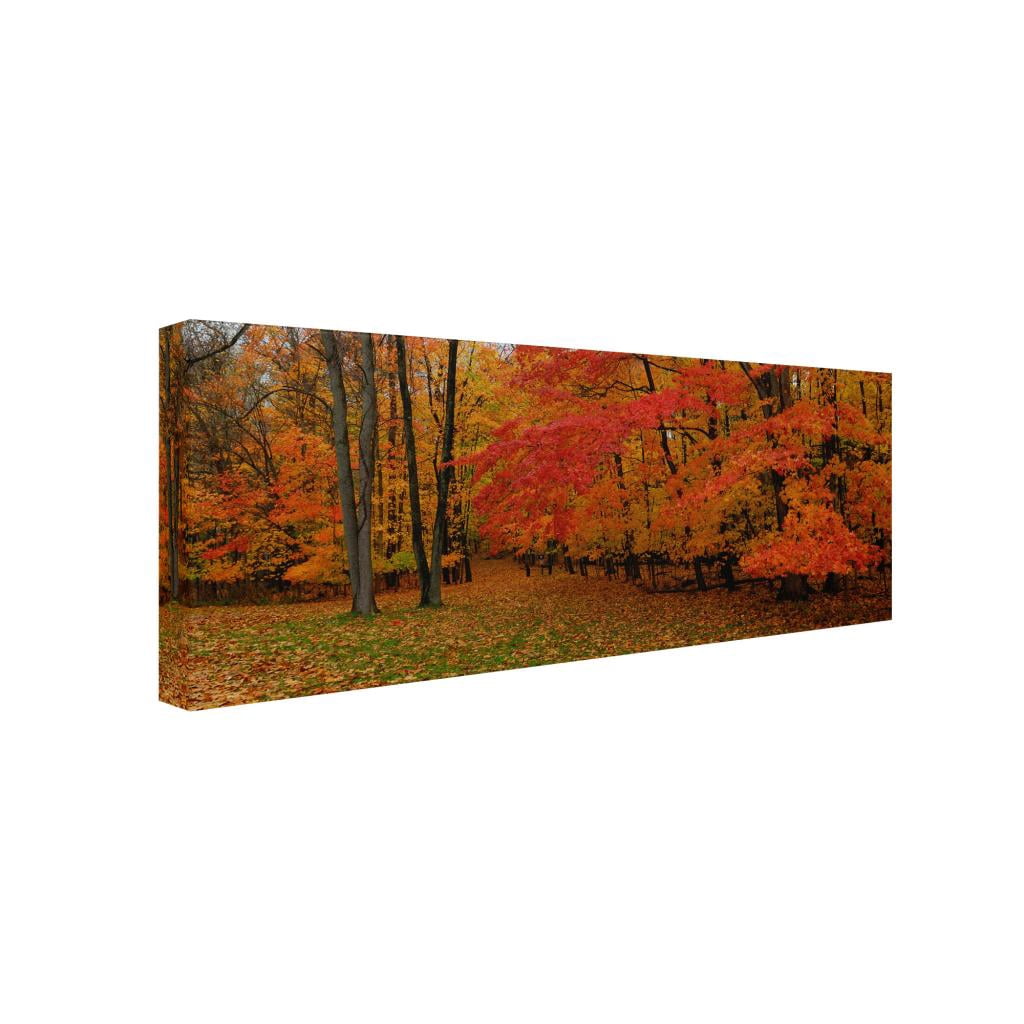 Trademark Fine Art "Ohio Autumn" Canvas Wall Art by Kurt Shaffer