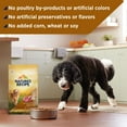 thumbnail image 6 of Nature’s Recipe Mature Lamb & Brown Rice Recipe Dry Dog Food, 24 lb. Bag, 6 of 12