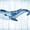 Wooden Blue Whale, variant on Elephant Stock Navy Fish Wall Art - Horizontal Multi Panel Canvas - Living Room Wall Decor - Animal Multi Panel - Blue And White Decor By Victoria Brown - 24" x 14"