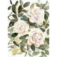 thumbnail image 3 of Chapman, Marcy 19x24 Black Modern Framed Museum Art Print Titled - Gentle Roses Yellow I, 3 of 5