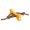 Bone Tugger Toy (Browning Gold), variant on Browning Pet Training Tool, Durable Dog Toys for Tug and Fetch, Canvas Bumper (Browning Gold), One Size