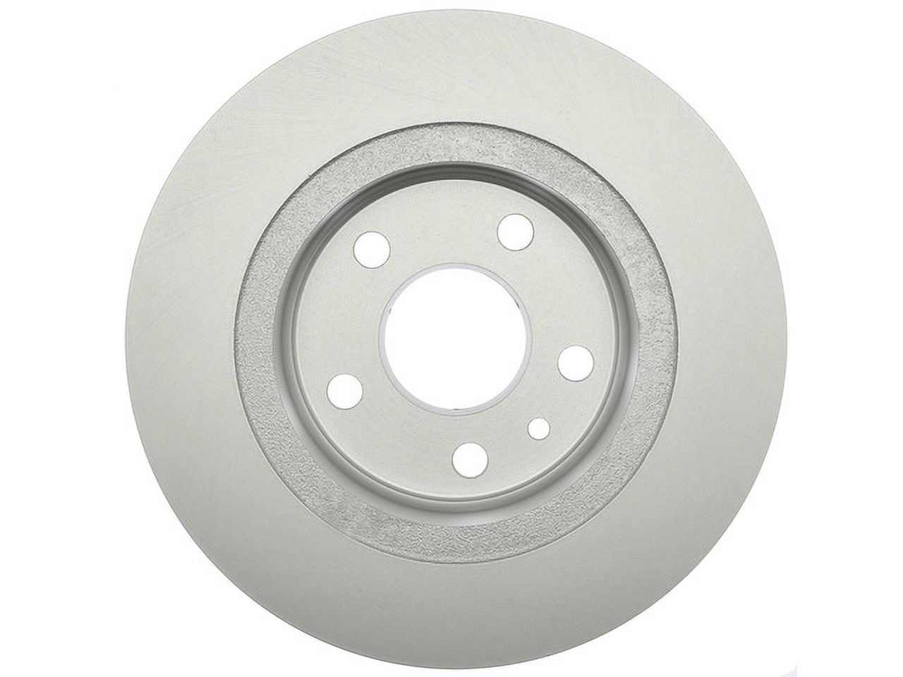 Raybestos 580769FZN Rust Prevention Technology Coated Rotor Brake Rotor, 1 Pack