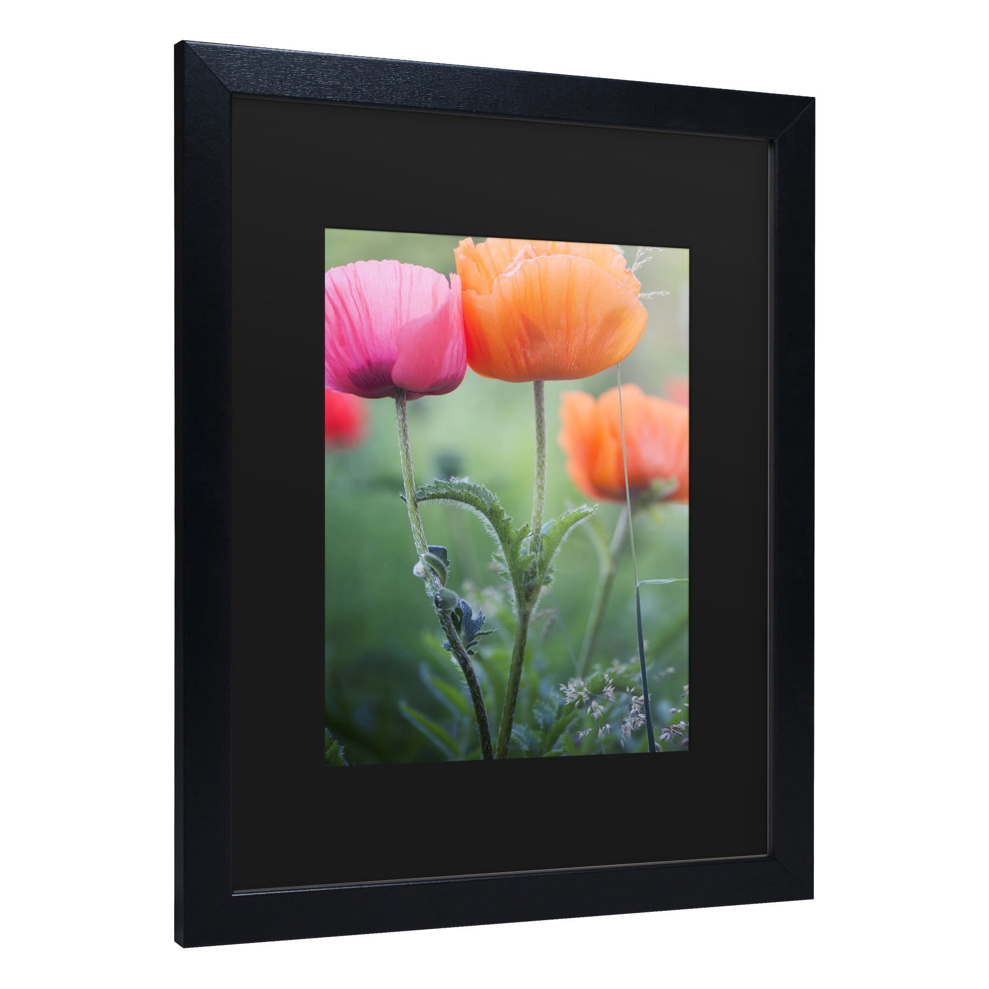 Trademark Fine Art 'Love Me Again' Canvas Art by Philippe Sainte-Laudy