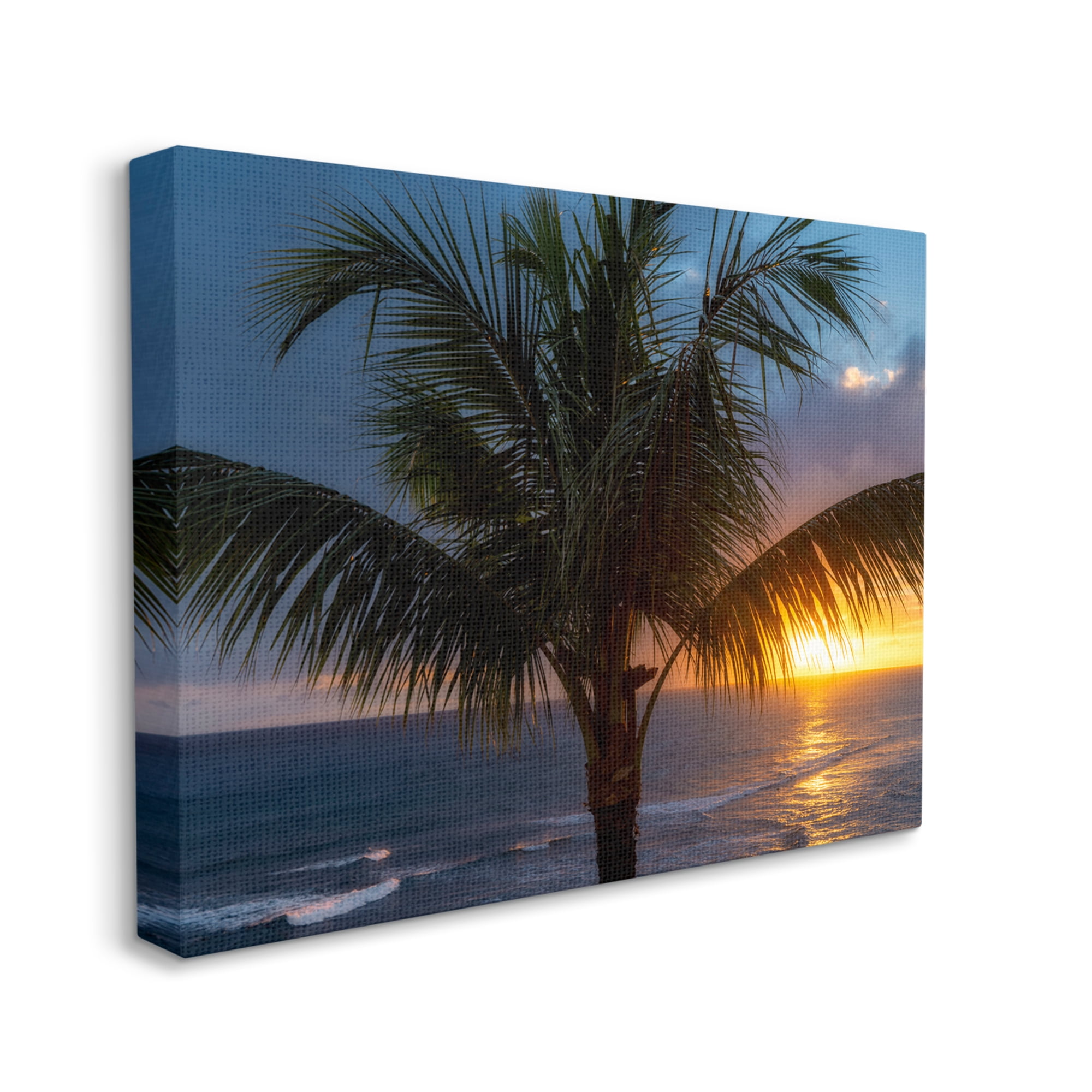 Stupell Industries Tropical Palm Sunset Nature Photography Gallery Wrapped Canvas Print Wall Art, 48 x 36