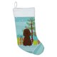 thumbnail image 1 of "Treasures Merry Christmas Tree Irish Water Spaniel ing, grande, multicolor" Caroline's Treasures BB4188CS, 1 of 1