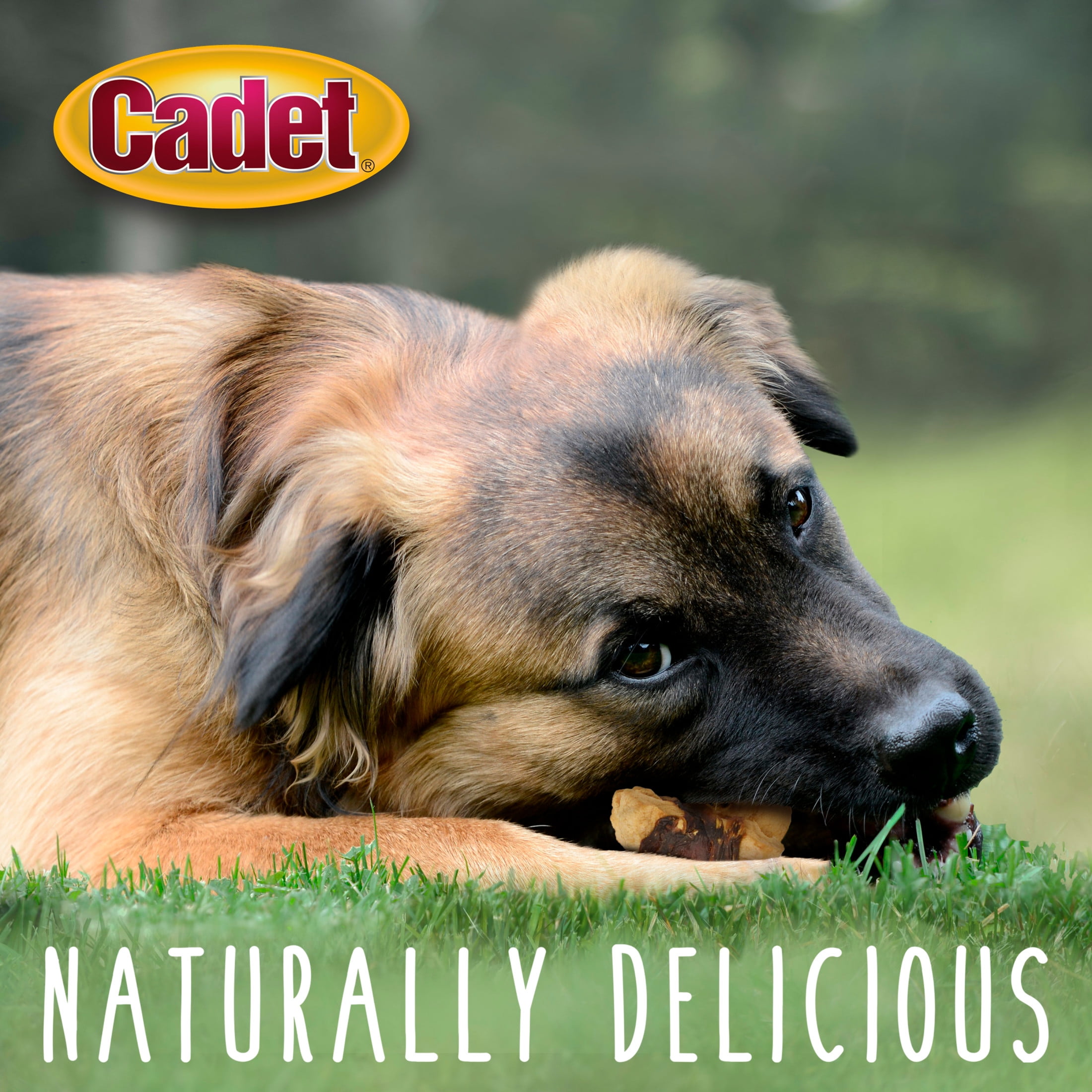 Cadet Gourmet Chicken & Apple Wrapped Dog Treats 28 Ounce (Pack of 1)