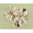 thumbnail image 2 of Chilton, Sarah E 18x15 White Modern Wood Framed Museum Art Print Titled - Regence Lily I, 2 of 4