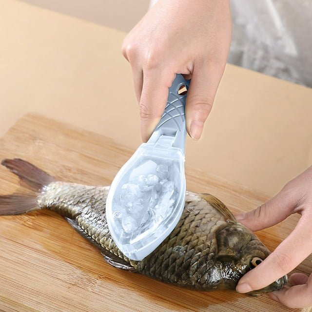 Product Category Peeler Manual Fish with Lid for Household Use Efficient Scale Removal Tool for Fresh and Fish