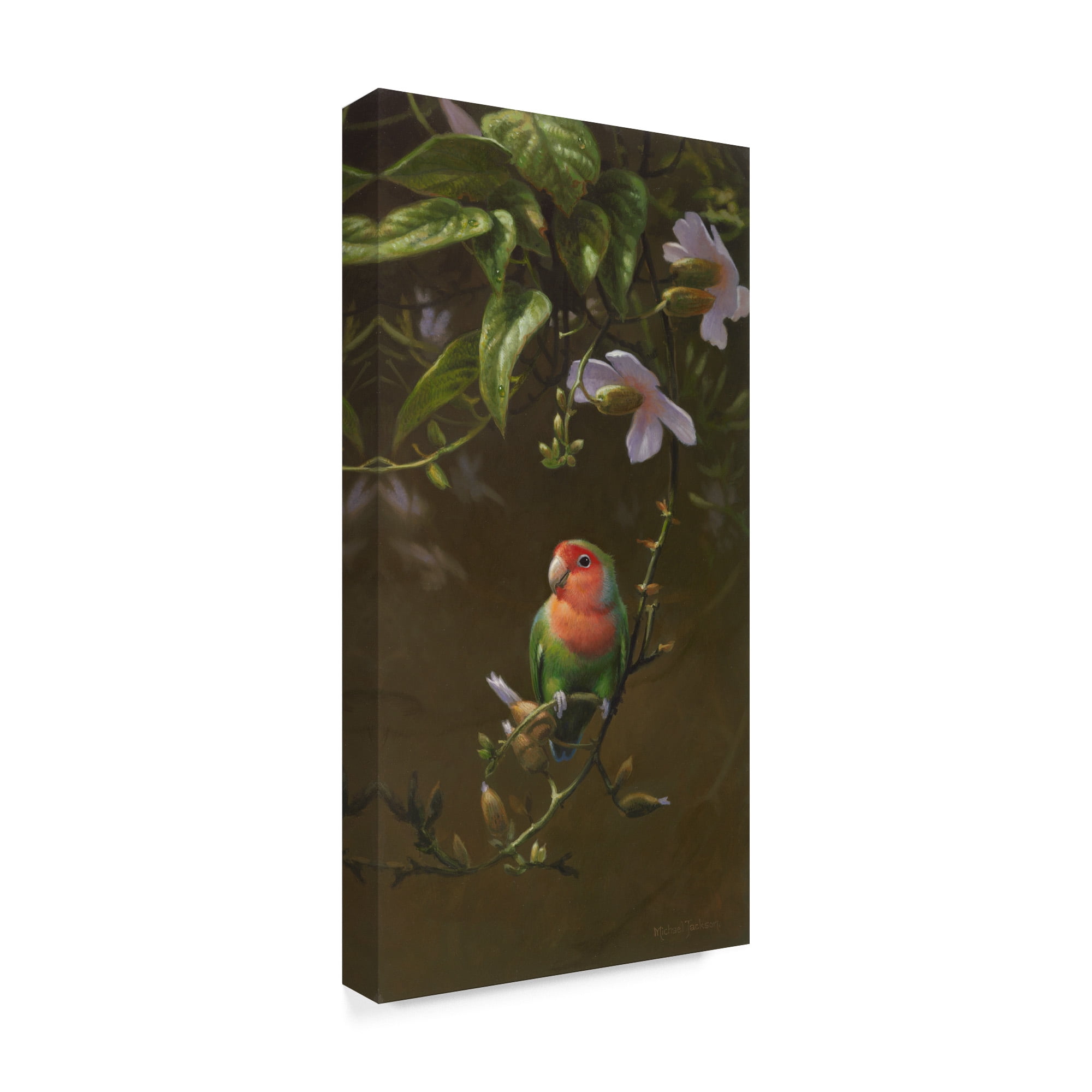 Peach Faced Lovebird 1' Canvas Art by Michael Jackson