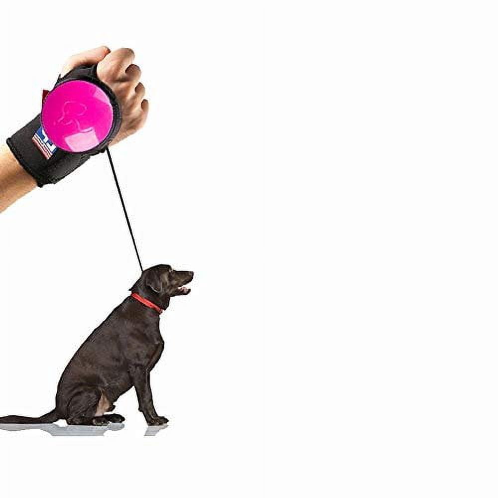 MRK Group Hands Free Dog Leash (White)