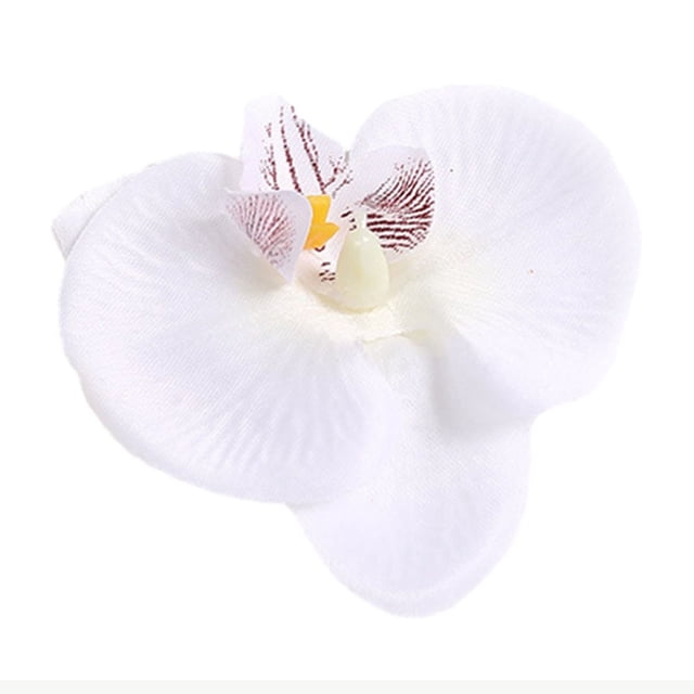Phalaenopsis Orchidée Simulée Accessoires de Fleurs Décoratifs