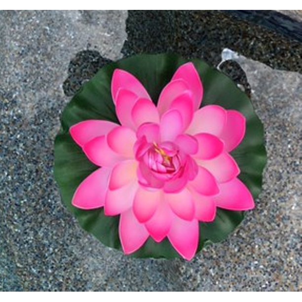 Garden Large Water Lily Artificial Flower for Pond Water Feature Pool