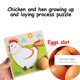 thumbnail image 4 of Pollo Gallina Rompecabezas Huevos Proceso Rompecabezas Juguetes Educativos De Aprendizaje Temprano Noticed FN002942-00, 4 of 6