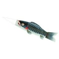 thumbnail image 2 of DOLITY Japanese Carp Flag Japanese Carp Windsock Streamer Windsock Banner Colorful Black, 2 of 9