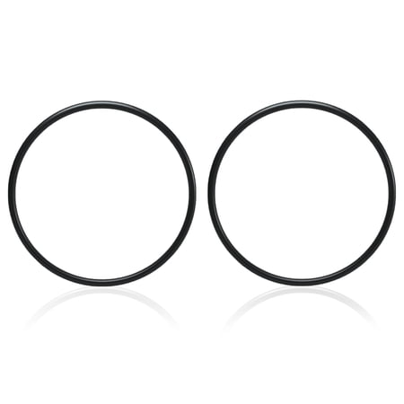 KEXWAN 272541 O-Ring Replacement for Pentair Pool Spa Filters and Valves (2PCS)