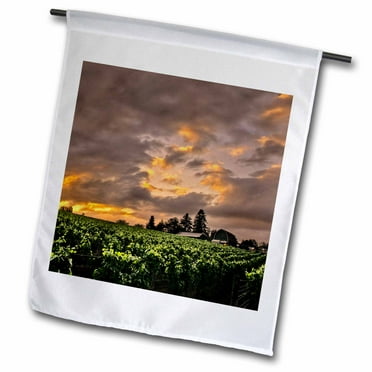 3dRose USA, Oregon, vineyard - US38 JMI0948 - Janis Miglavs - Garden Flag, 12 by 18-inch