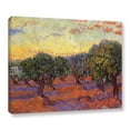 thumbnail image 1 of 'Olive Grove with Orange Sky' Gallery Wrapped Canvas Art Print, 36x48, 1 of 1
