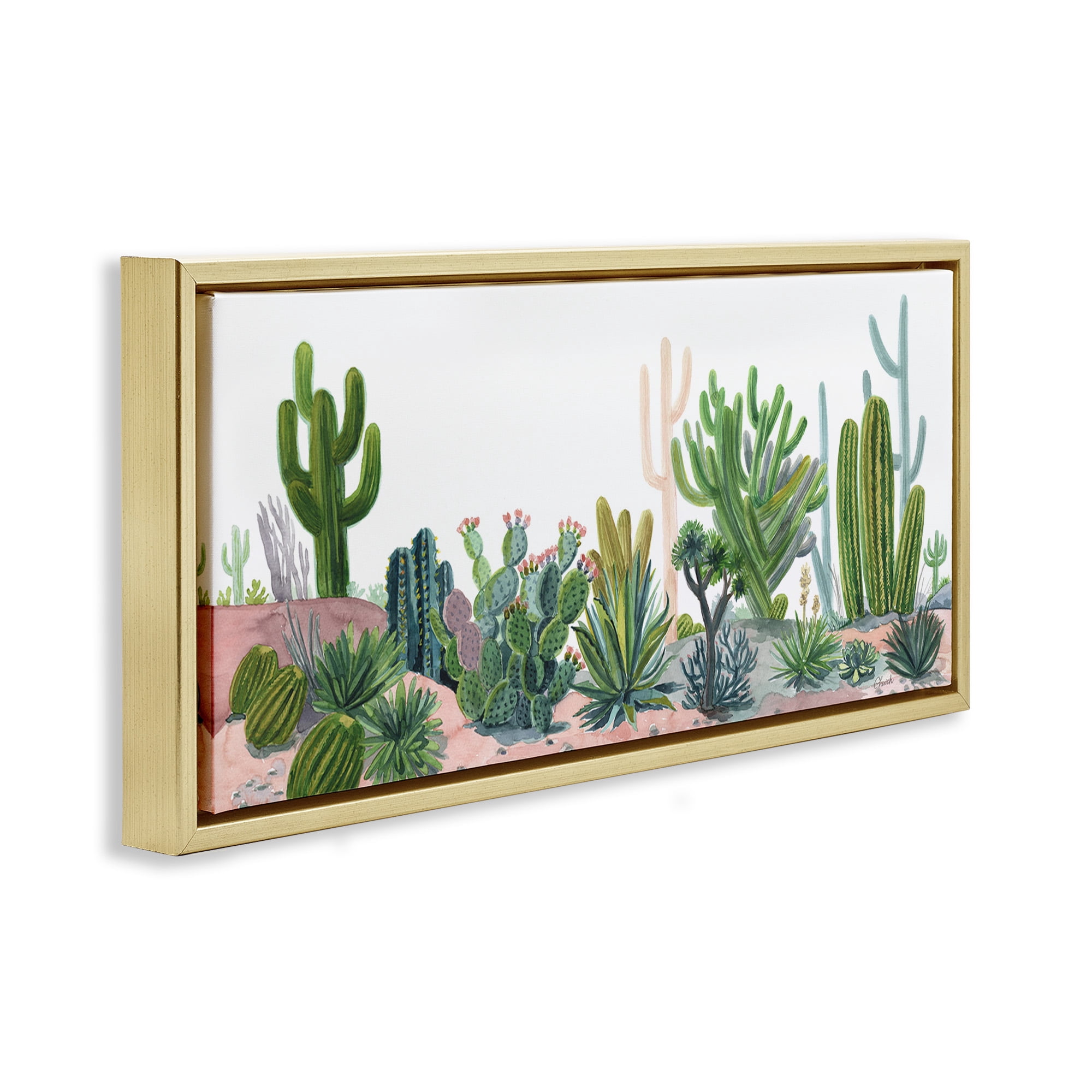 Stupell Industries Varied Desert Vegetation Cacti Botanical & Floral Painting Gold Floater Framed Canvas Art Print Wall Art, 25 x 11