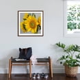 thumbnail image 3 of Art.com Sunny Sunflower IV Photo by Nicole Katano, Brown Frame Wall Art, 29" x 29", 3 of 5