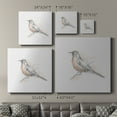 thumbnail image 4 of Wexford Home Robin Bird Sketch II-Premium Gallery Wrapped Canvas, 24" x 24" - Ready to Hang, 4 of 8