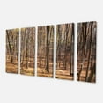 thumbnail image 2 of Forêt de Carpates Épaisse - Impression sur Toile, 2 of 3