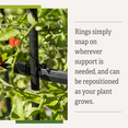thumbnail image 3 of Titan Tall Tomato Cages Set of 3, 3 of 7