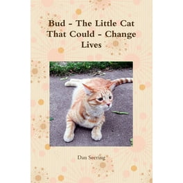 ゲートルーラーSchrödinger, theCat Out of theBox Schrödinger: Out of the box! by GuilloTeam