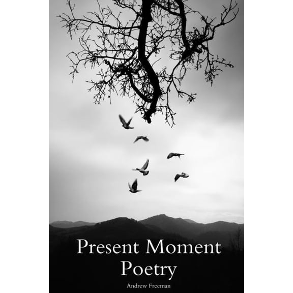 Present Moment Poetry, (Paperback)