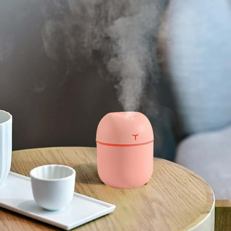 

Qianying Summer Promotion Clearance Portable Mini Humidifier 220Ml Small Cool Mist Humidifier Usb Desktop Humidifier for Baby Bedroom Travel Office Home Auto Shut-Off 2 Mist Modes Super Quiet