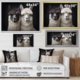 thumbnail image 4 of Designart "Two Alcapas beautyful Guardians III" Animals Floater Framed Canvas Wall Art, 4 of 7