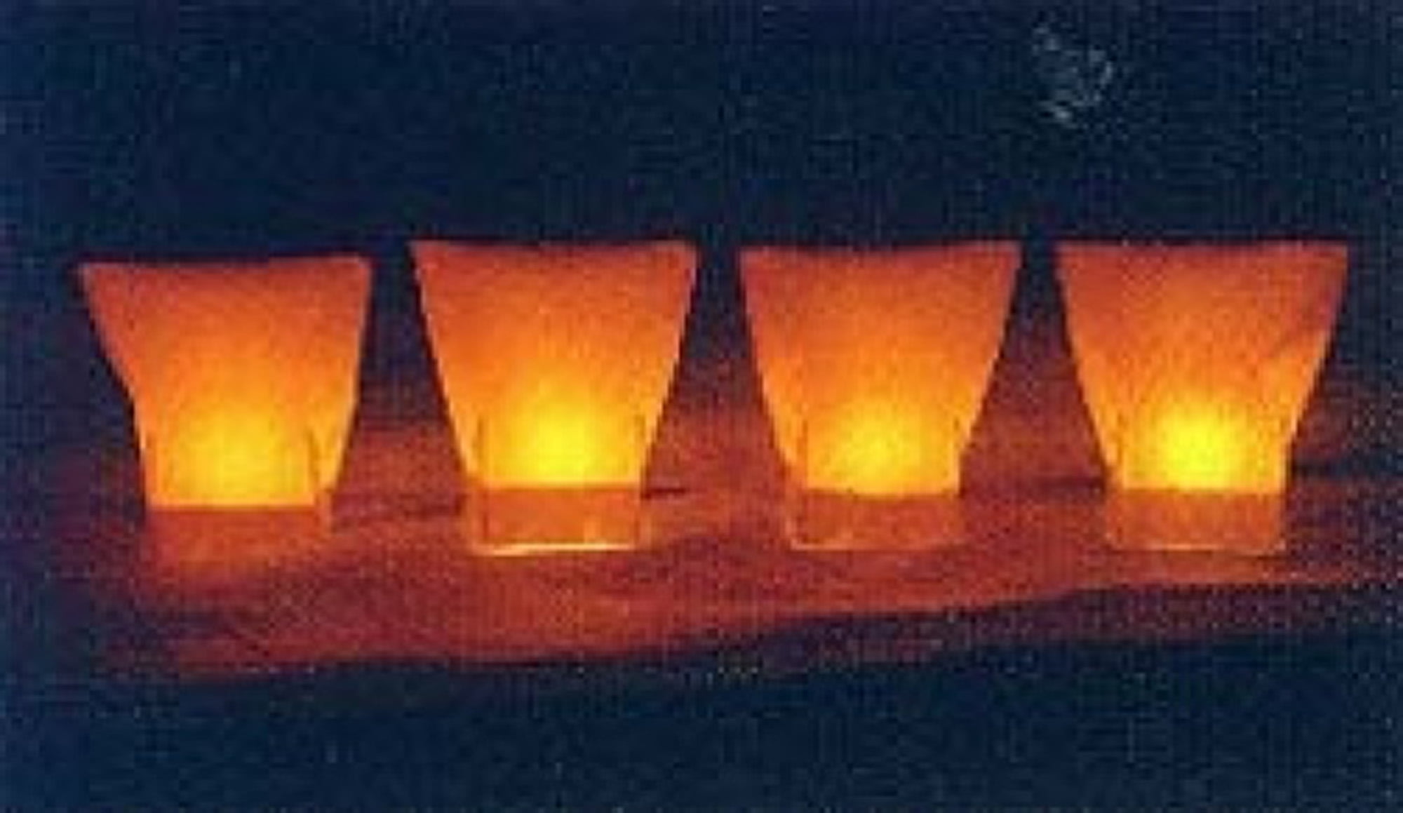 PLAYEZZE.SEXYBLOOMERS. SCNOP Luminaria Light Set, RC Style, Outdoor Walkway Lights, 10-Pack, 5W